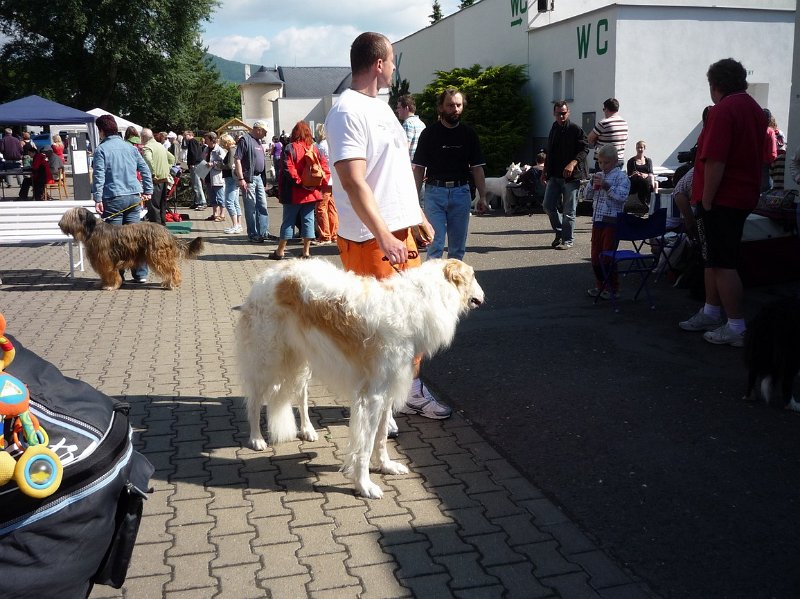 Litomerice 2009 016.jpg